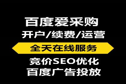 百度竞价代理实战技巧：经典案例深度解读